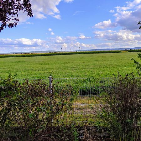 Grosse Schoenheit Mit Panoramablick Euskirchen Eksteriør billede
