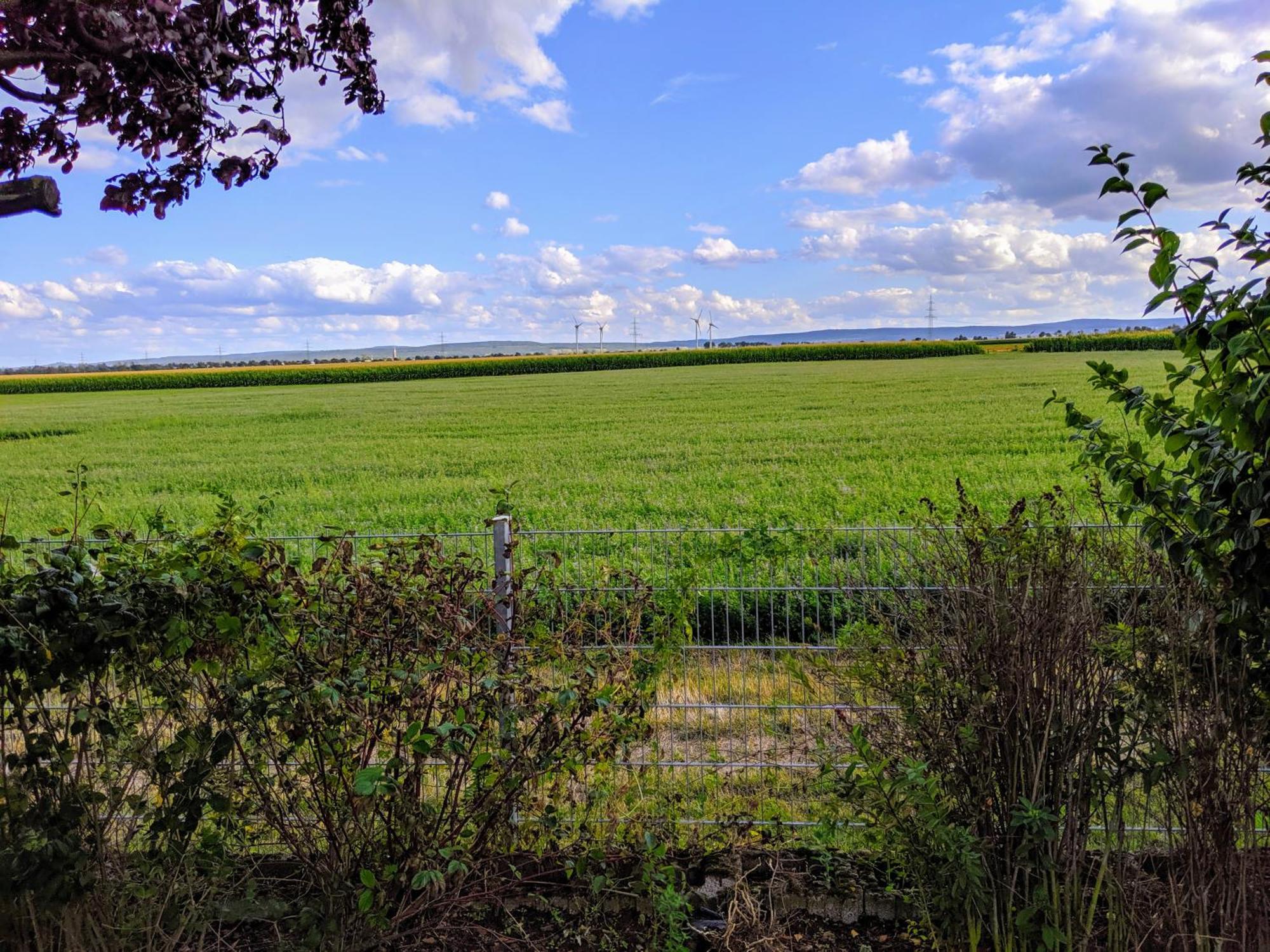 Grosse Schoenheit Mit Panoramablick Euskirchen Eksteriør billede